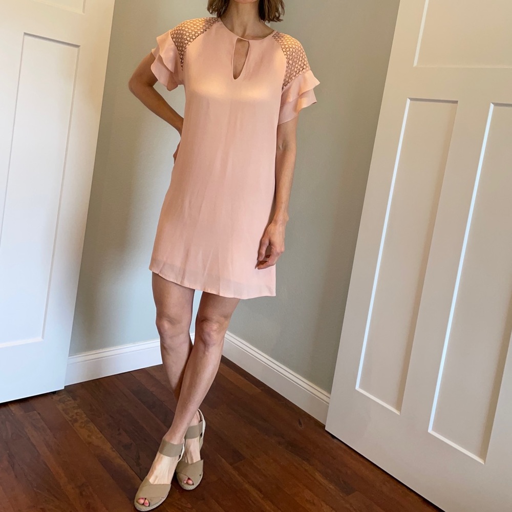 Shilla- NWT SZ M Shift Blush Pink Dress